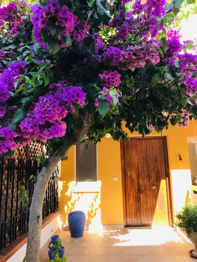 Le Stanze Di Botticelli Bed & Breakfast Termoli Exterior photo